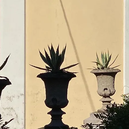 Tatil Evi Fwl The Lake