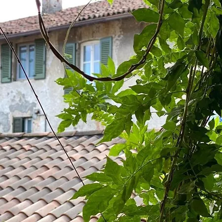 Fwl The Lake * Arona